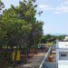 Apartmani Zoran_8