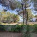 Apartman Arči_2