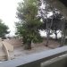 Apartmani Branka_9